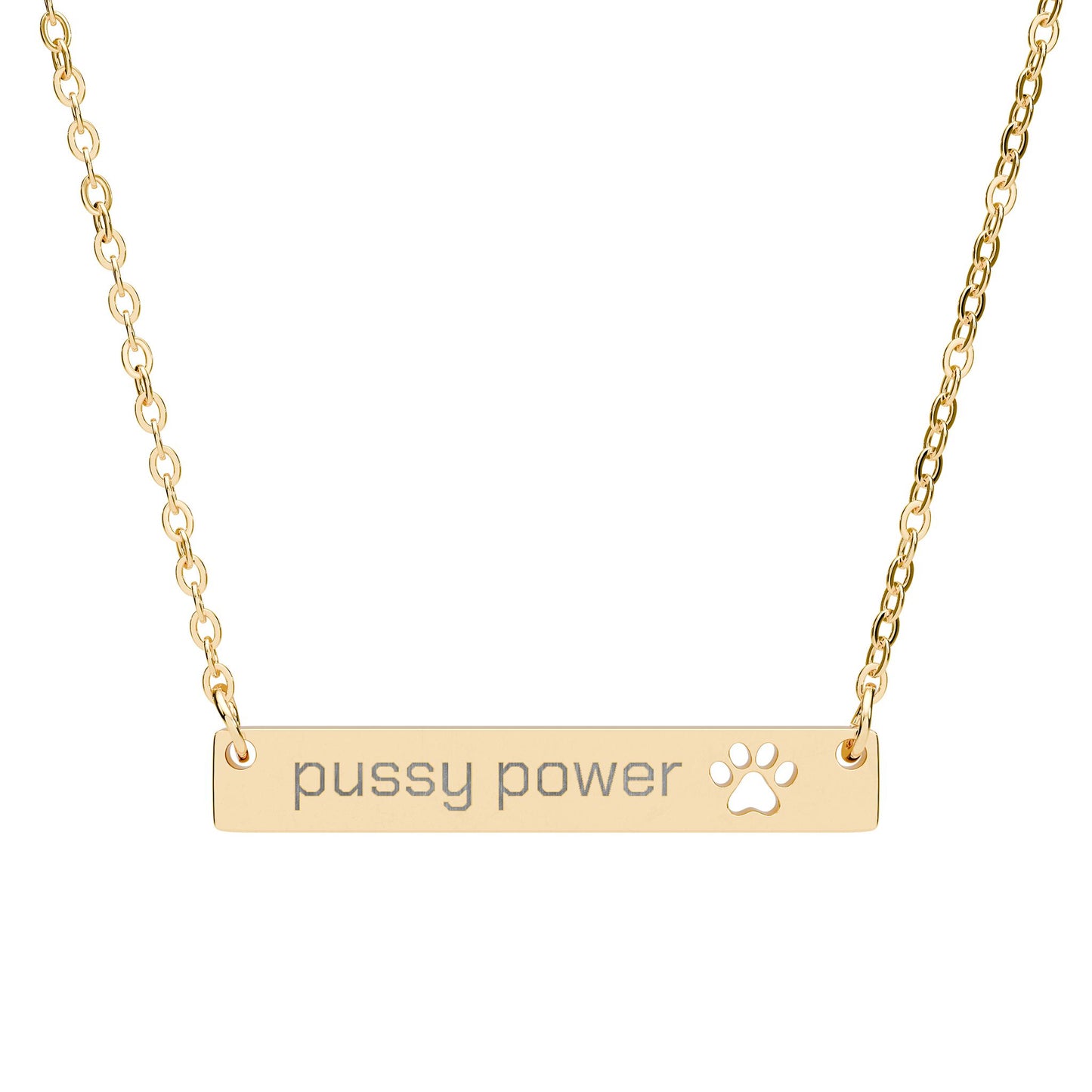 ‘pussy power’ Engraved Paw Bar Pendant